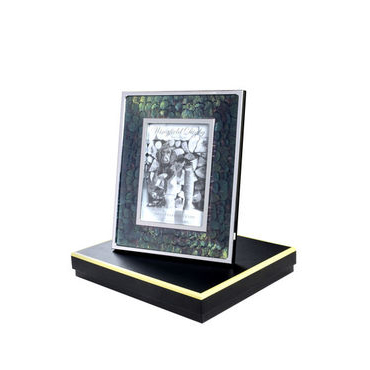 Green Pheasant feather and glass photo frame 7 x 5
